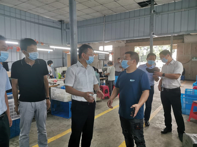 王建華在浮屠調研脫貧攻堅、鄉(xiāng)村振興和巡視反饋問題整改工作