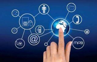 華登區塊狗溜狗軟件系統開發與網絡技術創新